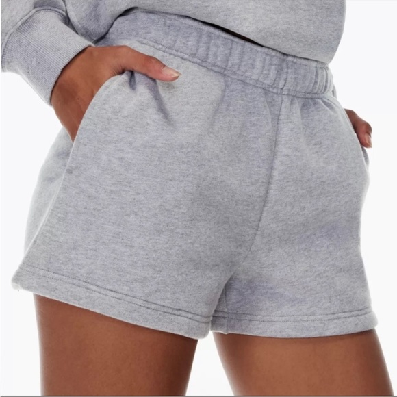 Aritzia Pants - Tna COZY FLEECE BOYFRIEND BASIC 3" SWEATSHORT
